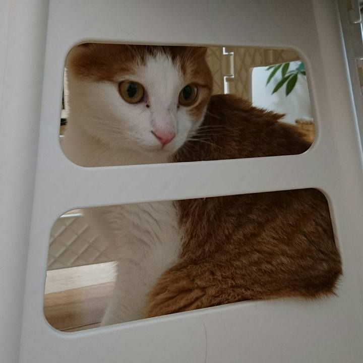 0f770f73 df6b 49a2 8cf2 30a9e8edaeb1