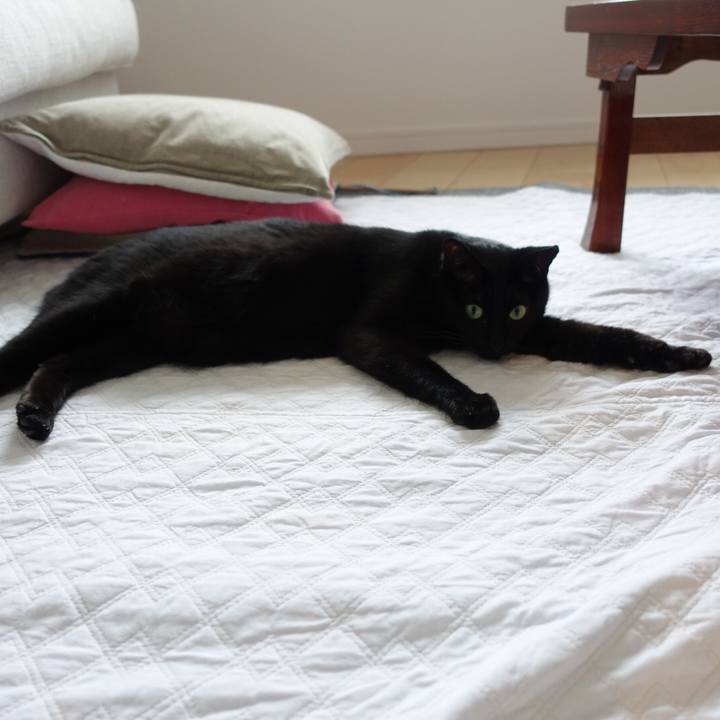 0f77c4bd ca12 4394 9f55 7a68ff1be44c