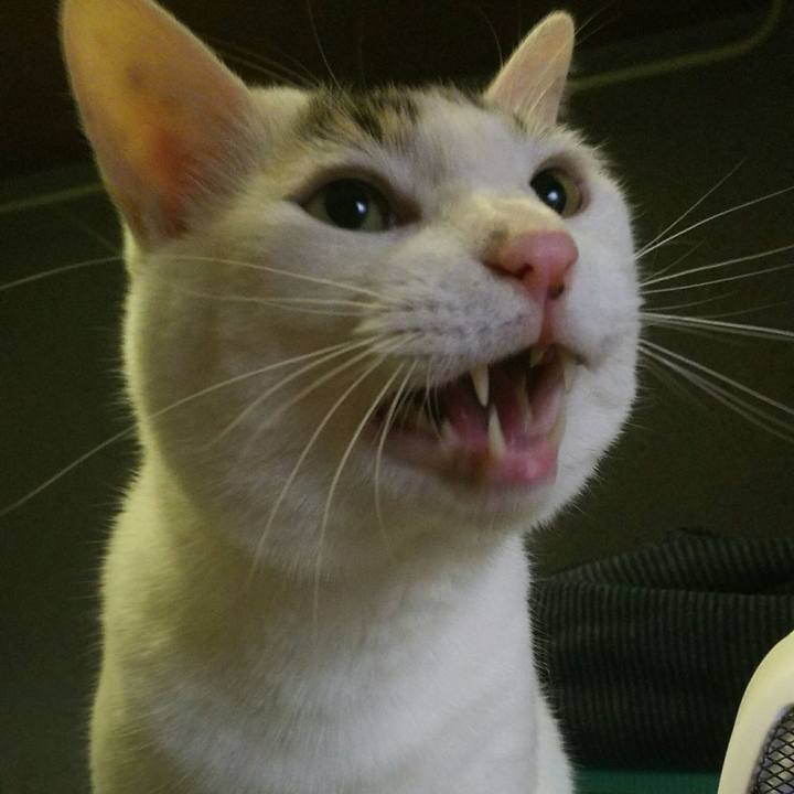 0f77caab d67f 46ee b79b f23ff551d19d