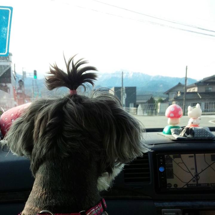 0f78260b 33e8 4ad7 9e1c 429b0d919250