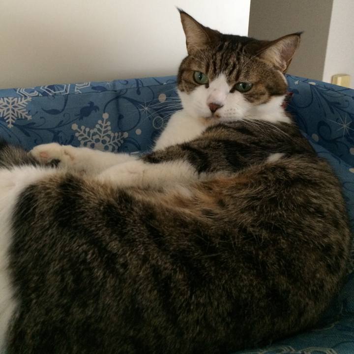 0f782eee 66e1 49c8 8639 c1d30c245956