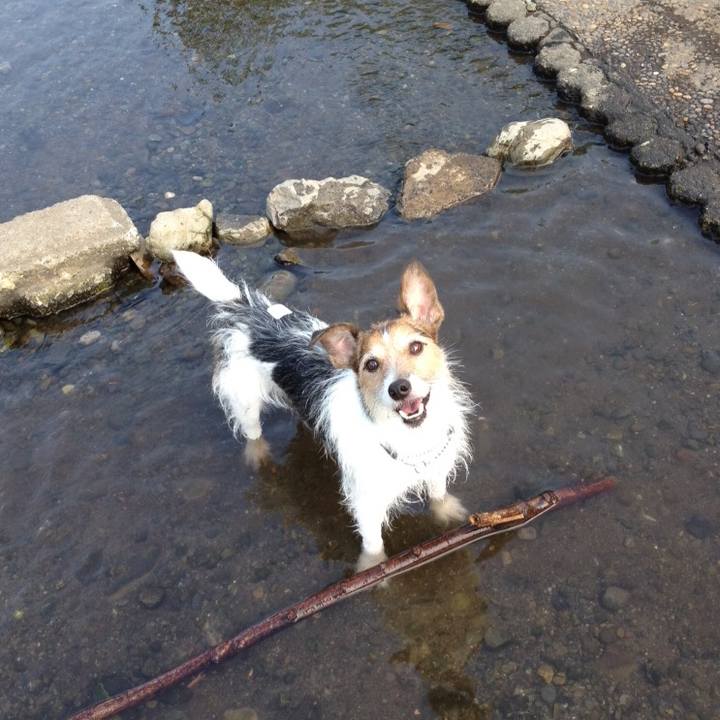 0f79038a 2b74 4b21 b2b9 34ee25f2156a