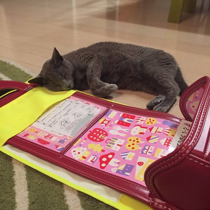 0f793c2a 3875 4f25 9e93 133534b3d054