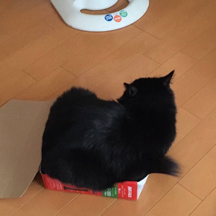 0f79b62e a825 4fdc 9aab 93609162d951