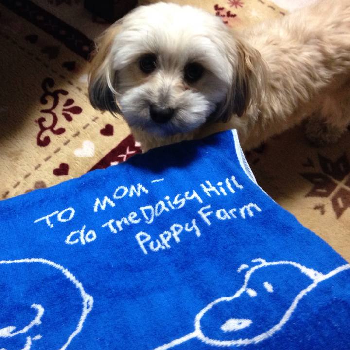 0f79da65 a8c6 4cbc a022 b5f96a99ba66