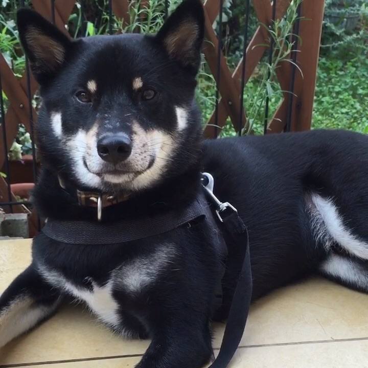 0f7a3c00 1c25 4528 a8d9 000557e69d3d