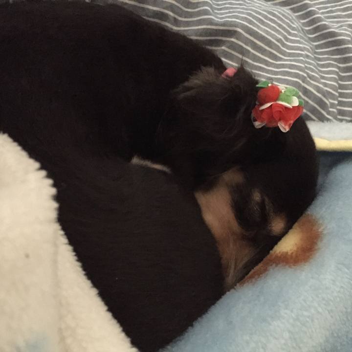 0f7a873f bff9 4957 a6f4 a53624dee410