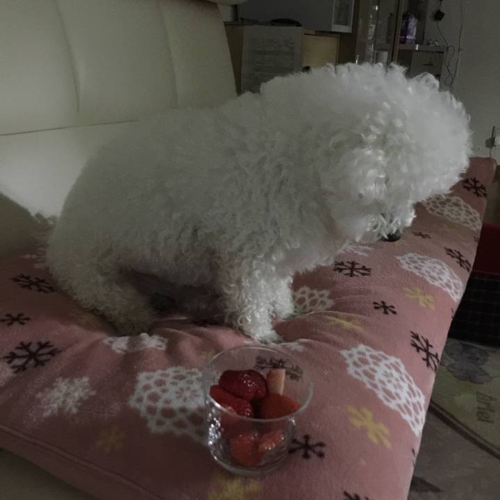 0f7af1a4 111d 48d9 8db9 54576c3bccb5