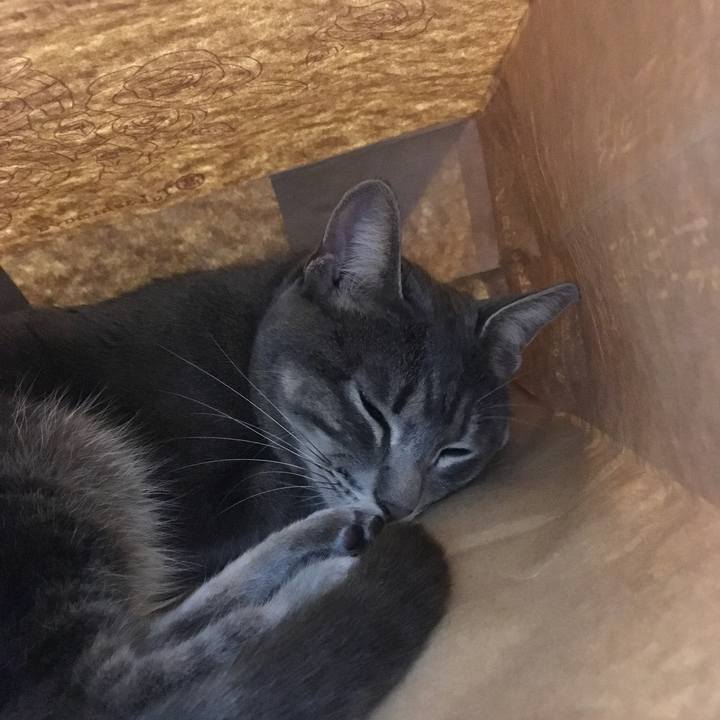 0f7b19c1 2c5f 4e0e b557 c23feeeef28d