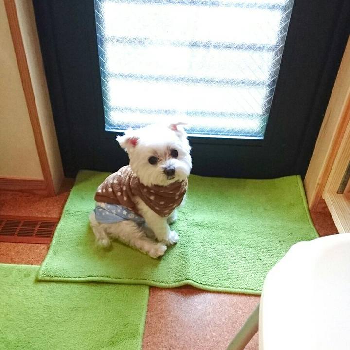 0f7b6677 e856 4c49 a359 a8a7e3c895d0