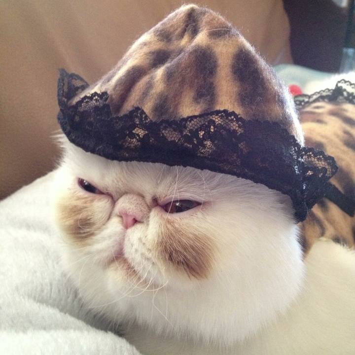 0f7b9219 23ce 4767 a3a2 7ff0342cd7e9