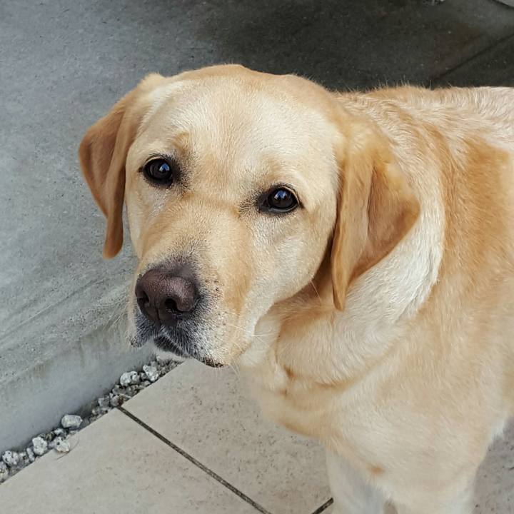 0f7d843e 5905 4375 bbdd 5c5d348d2fa4