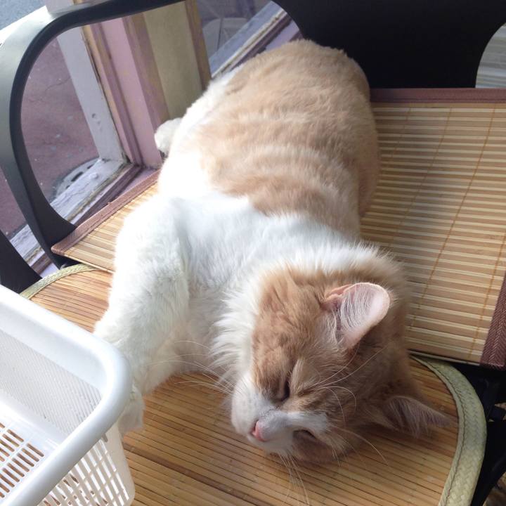 0f7edf1c 6e7c 476e b8b5 c401791ea9f1