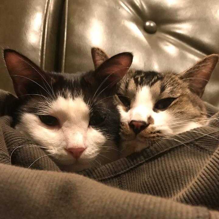 0f7f5d21 17ab 4211 8738 292851230c5a