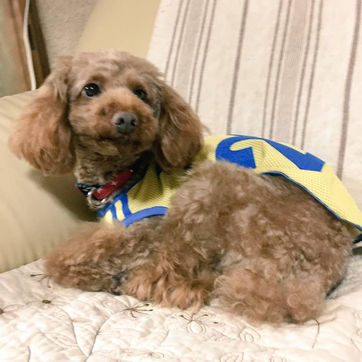 0f7fe025 2e9d 4ac1 8c0a feb6b4f24218