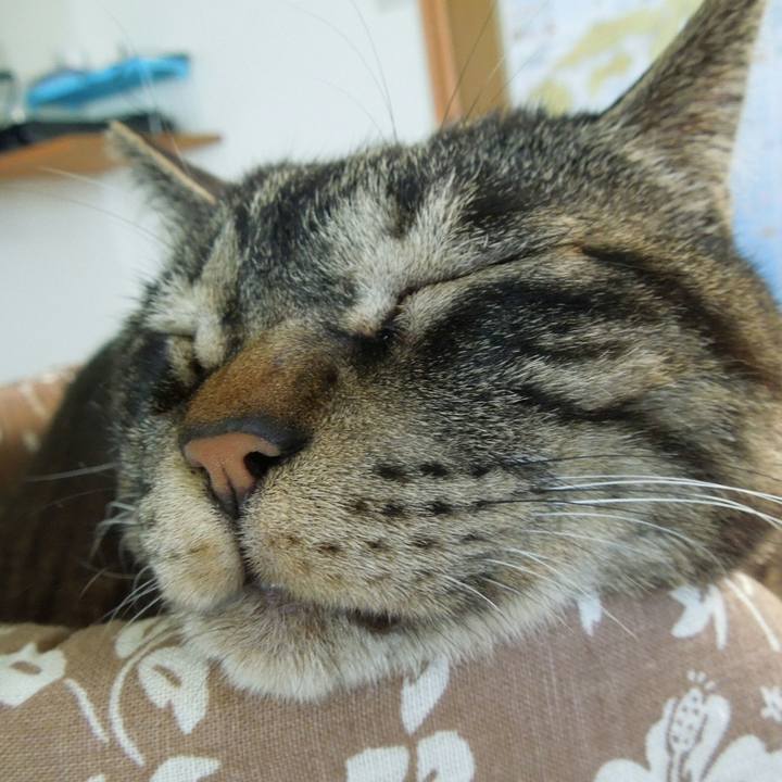 0f80b7d3 1f7d 4341 bb8c 01e2ba1d813e