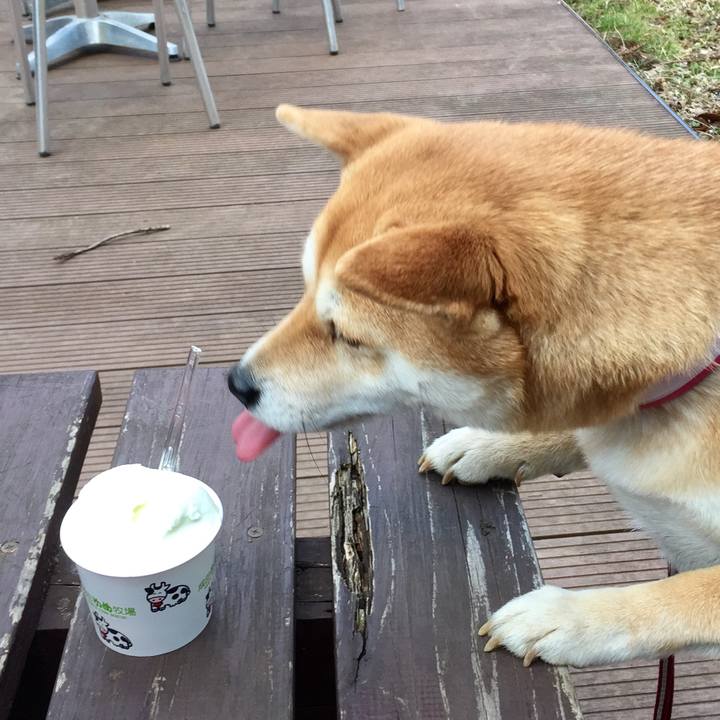 0f811148 c9d7 4ace a6e3 2080c116ae34