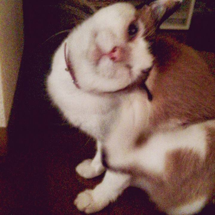 0f814ce8 bc6c 4855 abf9 b1fd34384136