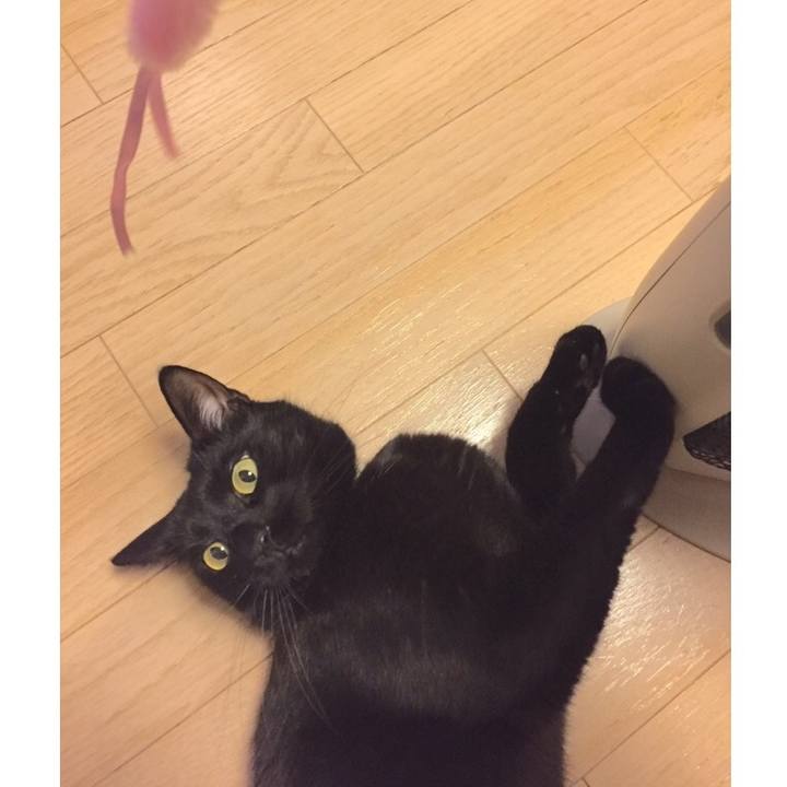 0f819037 6c41 4b10 9b14 213662c8d2d2