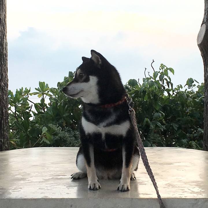 0f821829 aba0 4460 ad2d a9c414c949ae