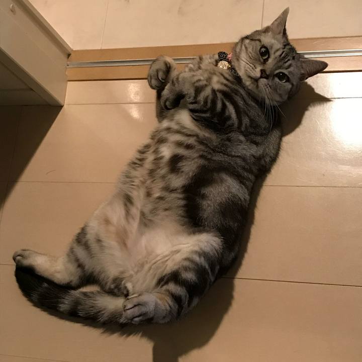 0f82204b 76f6 4b25 935d 2bf3bf618803