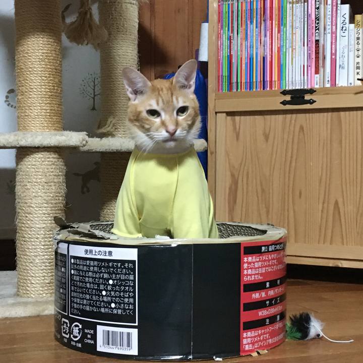 0f8236a7 2d77 4c7e befa df325049b2d3