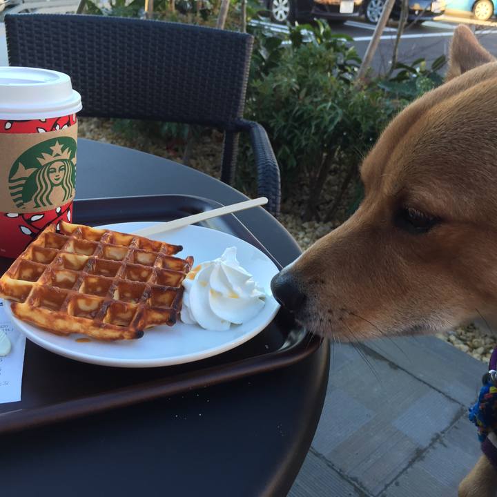 0f82c490 3a38 4c81 873f b497ef387fe6