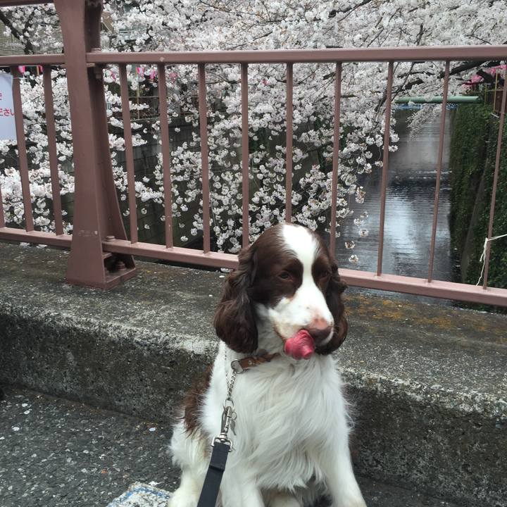 0f82d32b 663b 4a45 aa52 2c184340a160