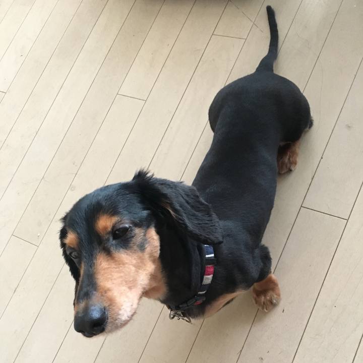 0f8328ad 18d8 4bb2 a191 25ad96e7429c