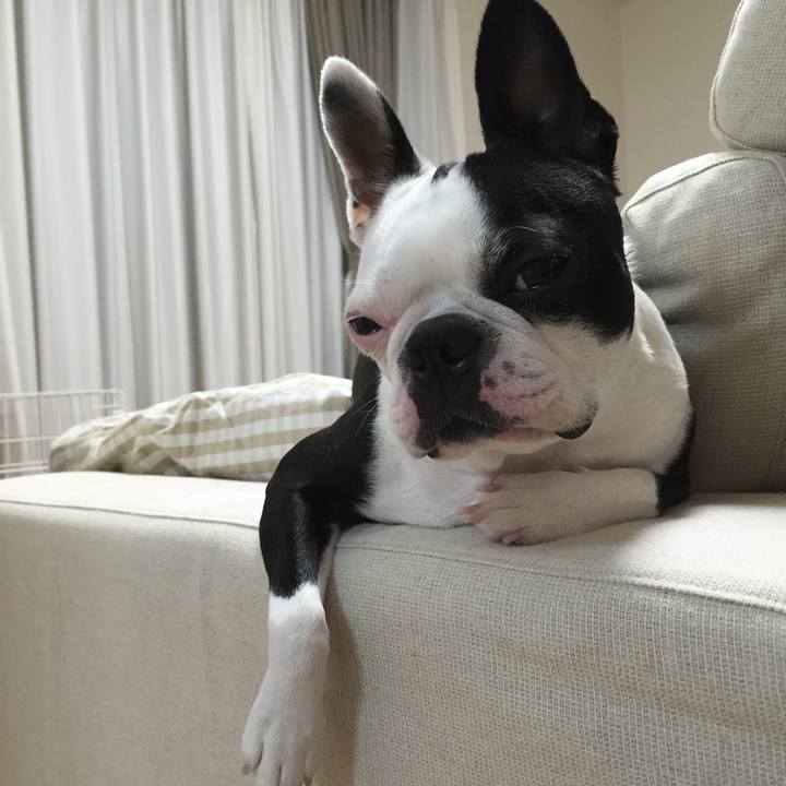 0f83431f 731a 44db 9c95 e76805f11898