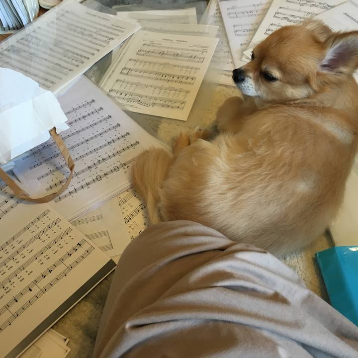 0f835743 384c 40ca b9ba 8dbae3c8190a