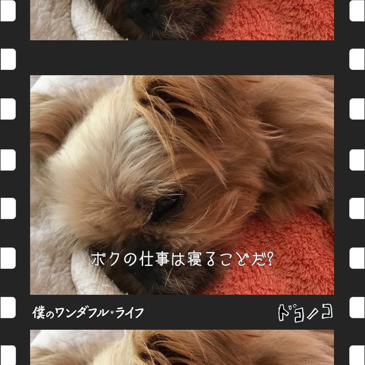 0f838477 e855 4fad 808f 7db79bf84bdf