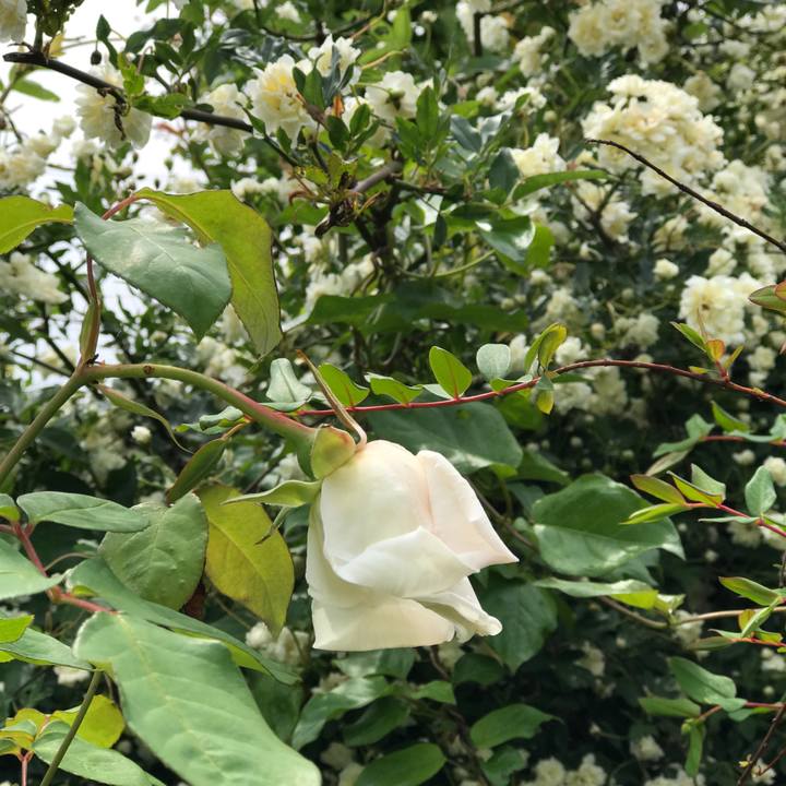 0f84271f d7b9 4c49 b748 3d6c7fc9c240