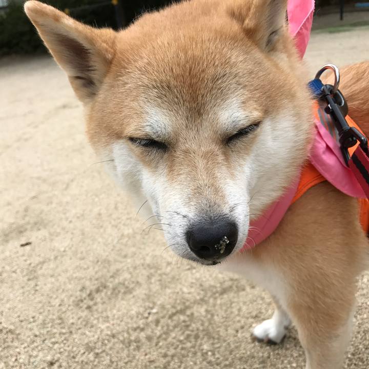 0f842f48 9fdd 46b2 ba93 d993b4305b8a