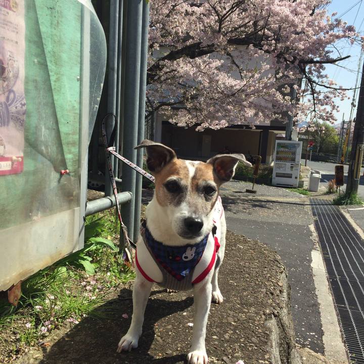 0f84dd95 c4c2 4041 b2f0 89381ad866a3