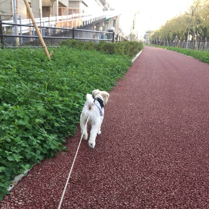 0f85ea4e 364d 43a7 8d0b 252e95f72be1