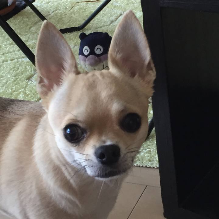 0f8793fe 629d 46c1 9a21 7b97d8de4ca4