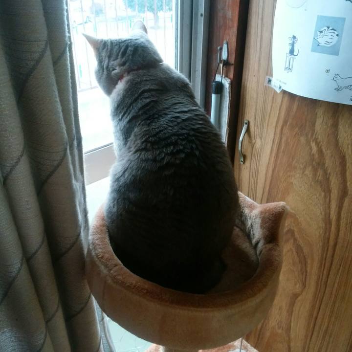 0f87c836 8d27 479d b53b feecc4875f53