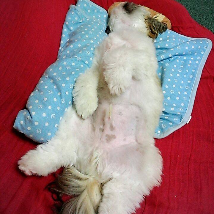 0f87cc2c b8b8 4cde b9a3 7d9ae1ed0c15