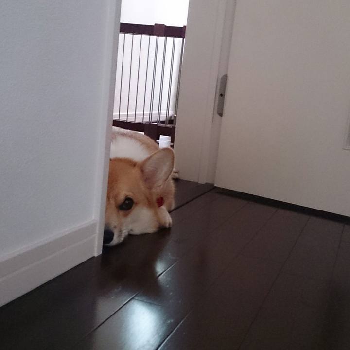 0f8890f8 5995 4e17 ae5e c16a49dd2efc