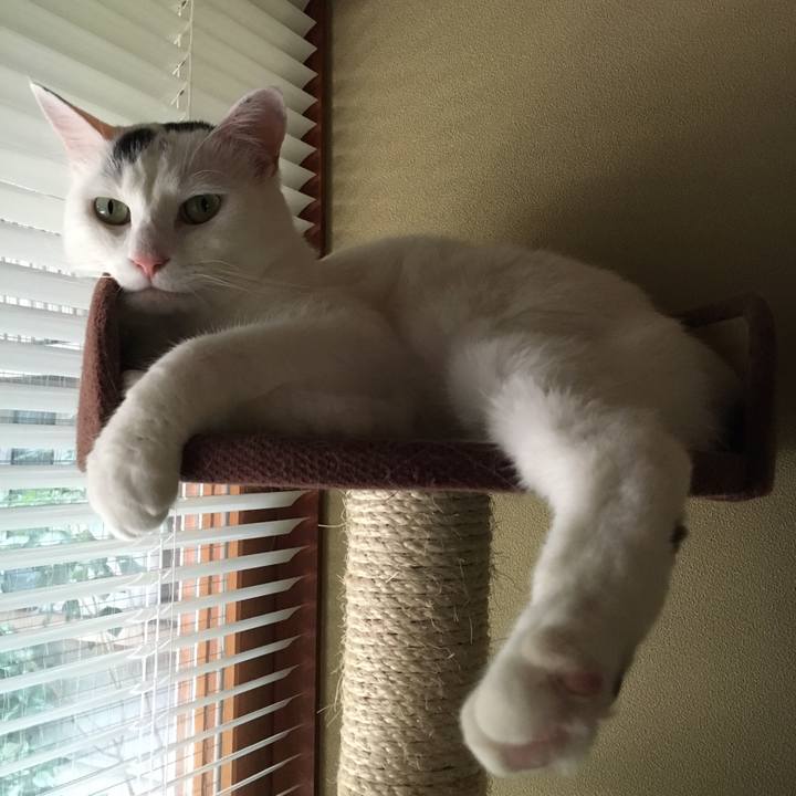 0f896b27 6cdf 48a2 8c53 0b90bb363e7a