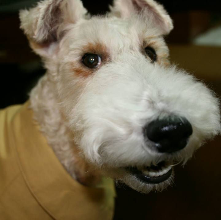 0f89fad0 0c75 4381 9f22 e1e0f74edd52