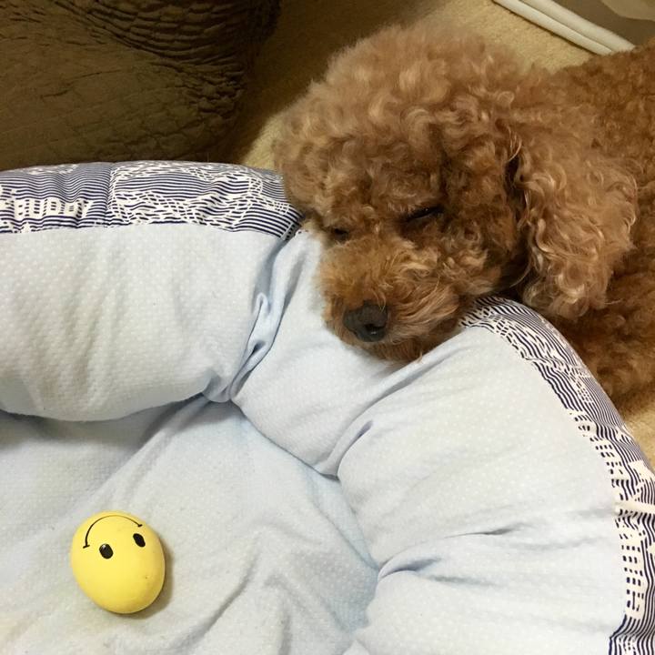 0f8a50c8 63cd 44db a9b3 44c26e3418e7