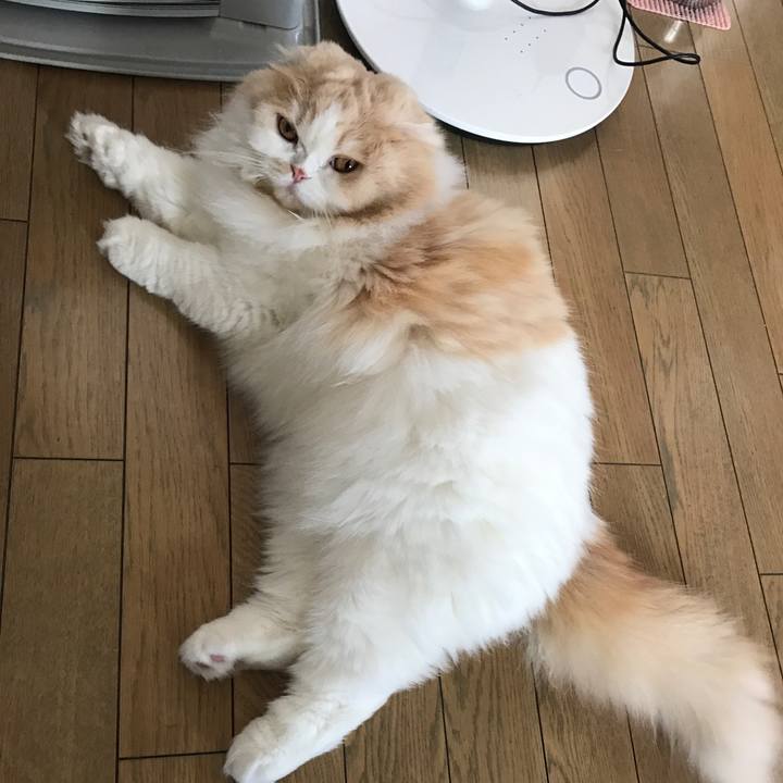 0f8a7eee f677 4217 a771 0c3c1e2ca276