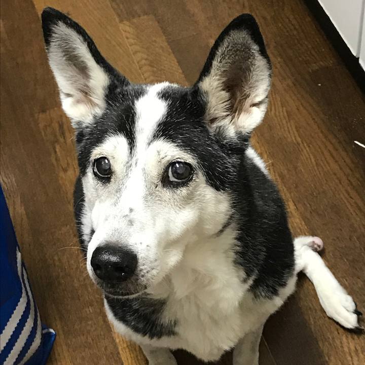 0f8a96fc 4be6 4422 b0b7 fddb25b5a472