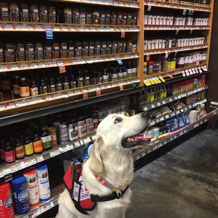 0f8bd60b f121 4b76 90a2 56689755af55