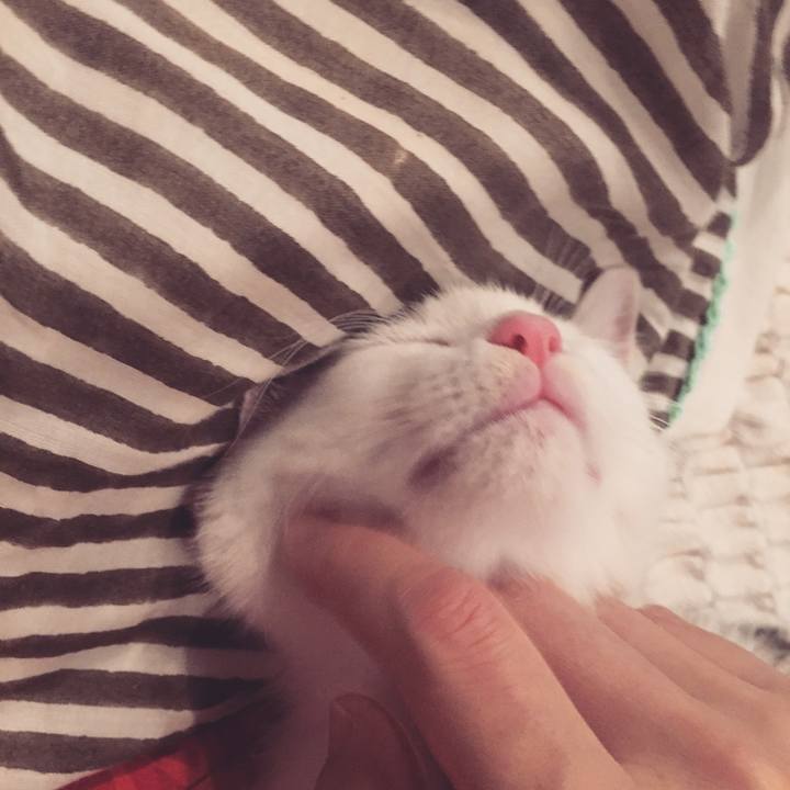 0f8c059a 83f8 419d b638 895209db3da0