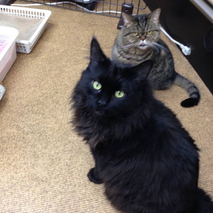 0f8c7cc0 3f4b 45ed a69a 88de2cb93869