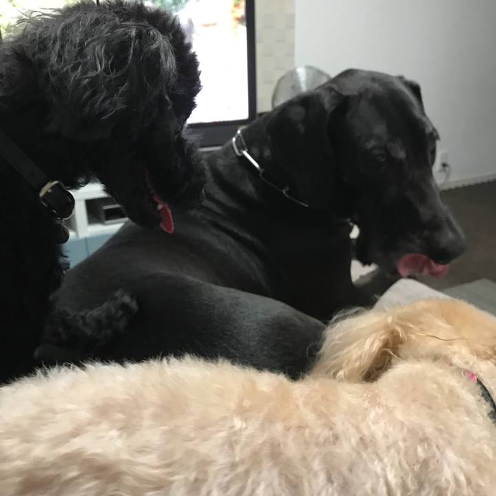 0f8d2939 3e53 4424 956a 1e016aba412b