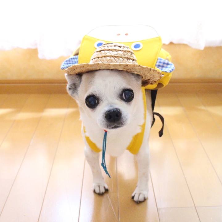 0f8da405 233f 47c7 99e2 d7e50c319b97